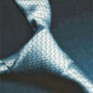 Meet your Posher, Darren